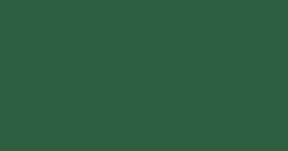 #2D6041 color swatch, deep green