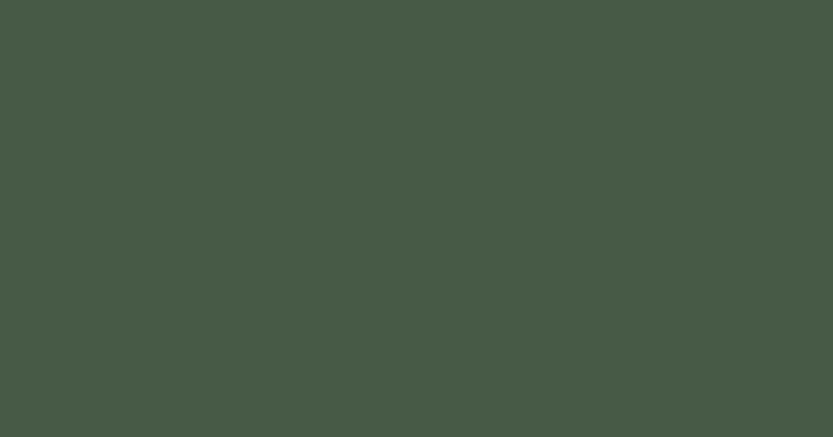 #475A46 color swatch, deep muted green